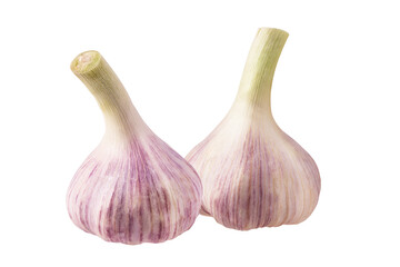 Garlics isolated on white background