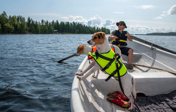 Man rowing on a lake in a rowing boat with dogs