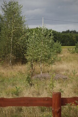 Widok z okna na wsi © Seance_Photo_Sylwia