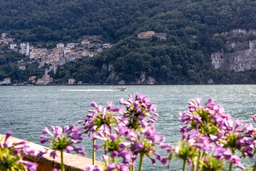 Purple flowers on the background of Lake Como. Blurred background. Photo