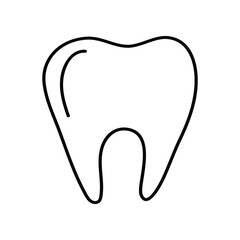 Healthy tooth linear icon. Vector illustration isolated on white.