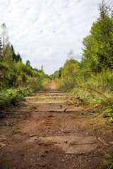 destroyed abandoned railway in the forest