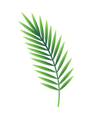 Paper Leaf Icon
