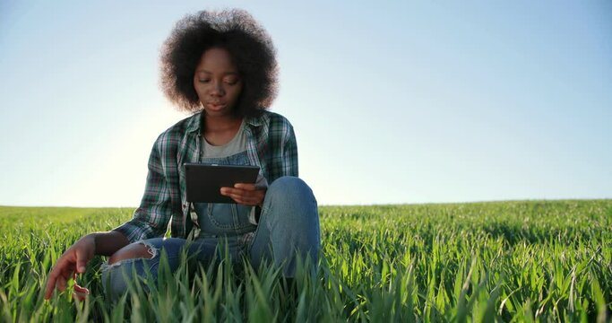 Motion camera view of the optimistic multiracial female farmer scientist using tablet computer technology application while working at the field and smiling. Agriculture concept