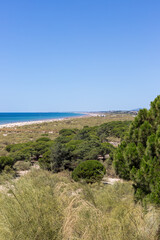 Fototapeta na wymiar Praia Verde, Castro Marim, Algarve, Portugal