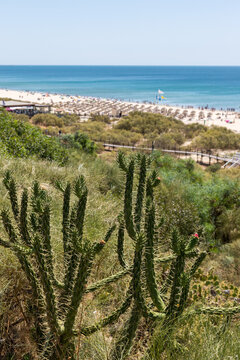 Praia Verde, Castro Marim, Algarve, Portugal