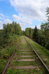 Fototapeta na wymiar rusty rails of abandoned railway on the old bridge surrounded by forest