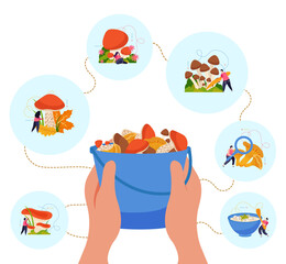 Mushrooms Harvest Composition