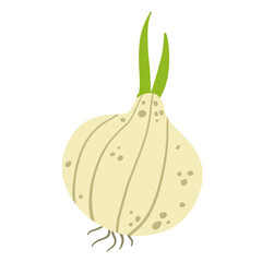 Onion in doodle style. Vegetable food and harvest. A simple drawing. Spicy Leek bulb. Flat cartoon isolated on white