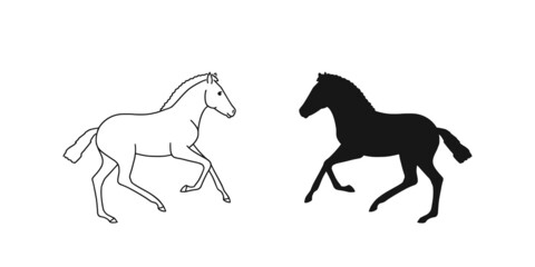 Galloping pony colt, cector line art and silhouette