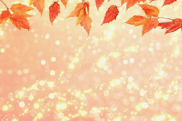 Fototapeta na wymiar Autumn abstract composition with maple leaves on blurred bokeh background, Thanksgiving day concepts, seasonal background, banner or splash for screen, greeting card or invitation with place for text,