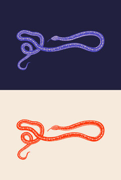 Python in Vintage style. Serpent or poisonous viper snake. Engraved hand drawn old reptile sketch for Tattoo, sticker or logo or t-shirts.