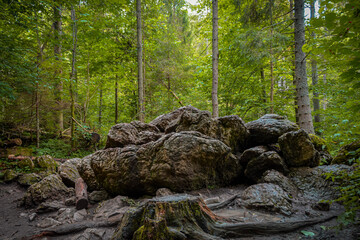 boulders in the forest  © Andrzej