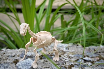 toy dinosaur in nature on a stone in the grass