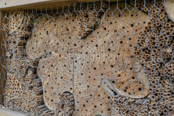 wooden house insect hotel