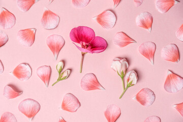 Pink background with rose petals