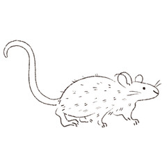Mouse line sketch illustration minimalistic