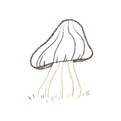 Mushroom line sketch minimalistic illustration