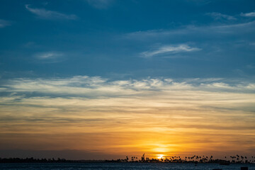 Sunset near the coast line with palm trees in the horizon