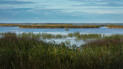 Lubana wetland in autumn, nature reserve, Latvia