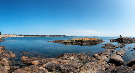 Fototapeta na wymiar Panoramic View of Rocky shore with birds at a modern city park, Clover Point, during sunny summer day. Victoria, Vancouver Island, British Columbia, Canada.