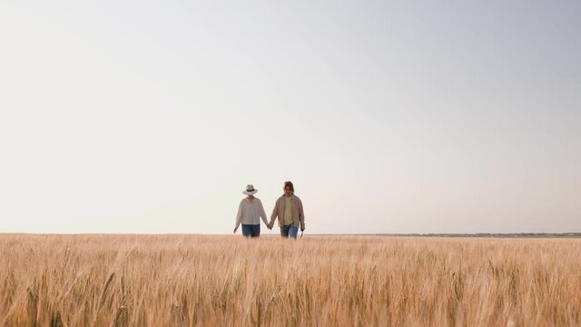 Young farmers examing planted wheat in the fields. Family business. Teamwork in agribusiness.