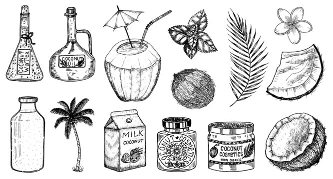 Coconut and palm leaf, Milk packaging, glass bottle, butter, cosmetic cream jar, cocktail with umbrella. Vintage style. Tropical food illustration
