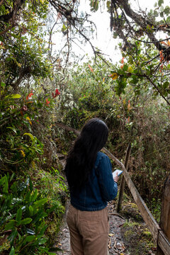 1 chica mirando su celular en medio del bosque 