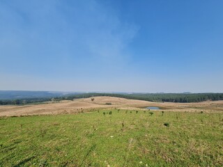 campo para pecuária, potreiro