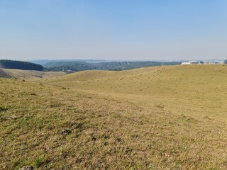 Obraz premium campo para pecuária, potreiro
