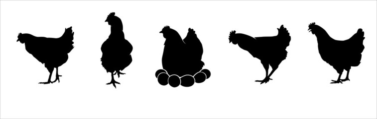 Hen silhouettes vector set. Chicken farm illustration