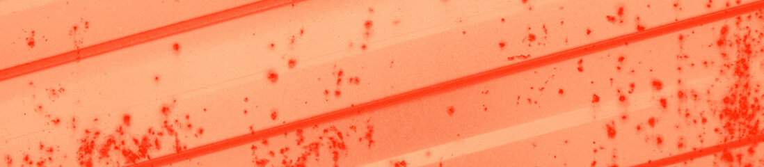 abstract live coral color background for design