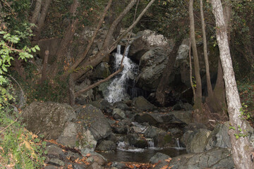 Fast river through stones in forest, Pano Platres, Cyprus.