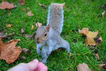 イギリス、ロンドンの観光名所を旅行する風景 Scenes from a trip to the sights of London, England