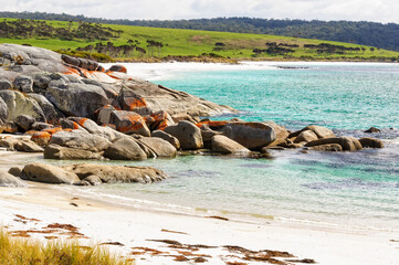 Orange lichen-covered granite boulders in a small white sandy beach - The Gardens, Tasmania, Australia