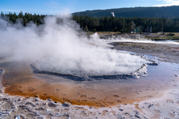 Crested Pool hot spring in Yellowstone National Park