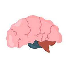 Vector illustration of a brain organ from the side, suitable for advertising health and education products