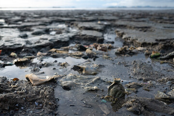 garbage on the beach, dirty sea
