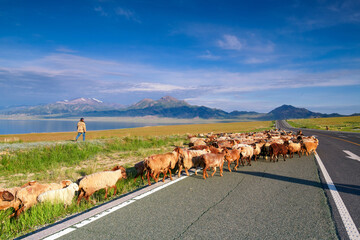 Fototapety na wymiar - Fototapeta24.pl