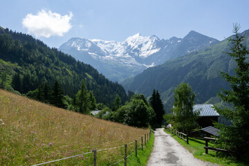 Panoramic view of relaxing mountain scenery with mountains in the background and meadow, grass on a nice, sunny day