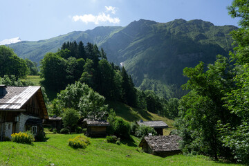 Obraz premium Panoramic view of relaxing mountain scenery with mountains in the background and meadow, grass on a nice, sunny day