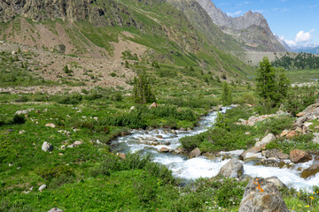 Fototapeta na wymiar Panoramic view of relaxing mountain scenery with mountains in the background and stream, grass, and rocks on a nice, sunny day