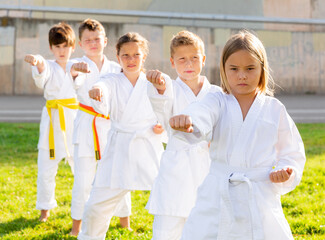 Fototapeta na wymiar Group of children training a new moves during karate class at summer outdoors
