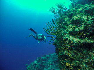 Fototapeta na wymiar scuba dive in San Andres Island, colombia