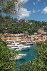 Panorama of Portofino seaside area with traditional colourful houses, harbour with numerous of yachts and ships, view from the hill road to Castello Brown, Liguria, Italy