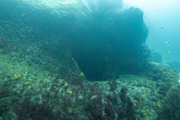 フィリピン、パラワン州のブスアンガ島コロン島に沈没している日本の沈没船をダイビングで撮影した写真 Photo taken by diving of a Japanese sunken ship sinking on Coron Island, Busuanga, Palawan, Philippines. 