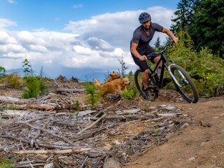 Man riding a mountain bike with his dogs. 