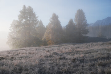 Eshtykel plateau under morning fog. Altai,  Russia
