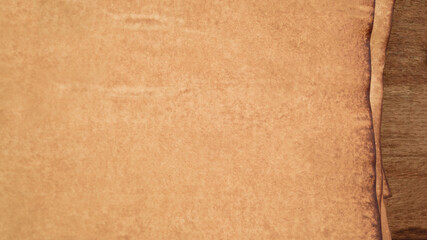  old paper texture for background                                                                 