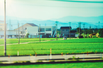 日本の田園風景と街並み